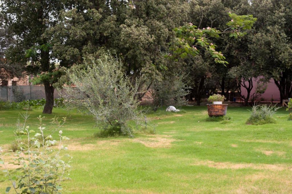 Loft Mansardato Con Giardino E Piscina In Villa Privata Loft With Garden And Swimming Pool In A Private Villa Sestu Kültér fotó