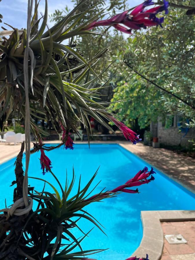 Loft Mansardato Con Giardino E Piscina In Villa Privata Loft With Garden And Swimming Pool In A Private Villa Sestu Kültér fotó