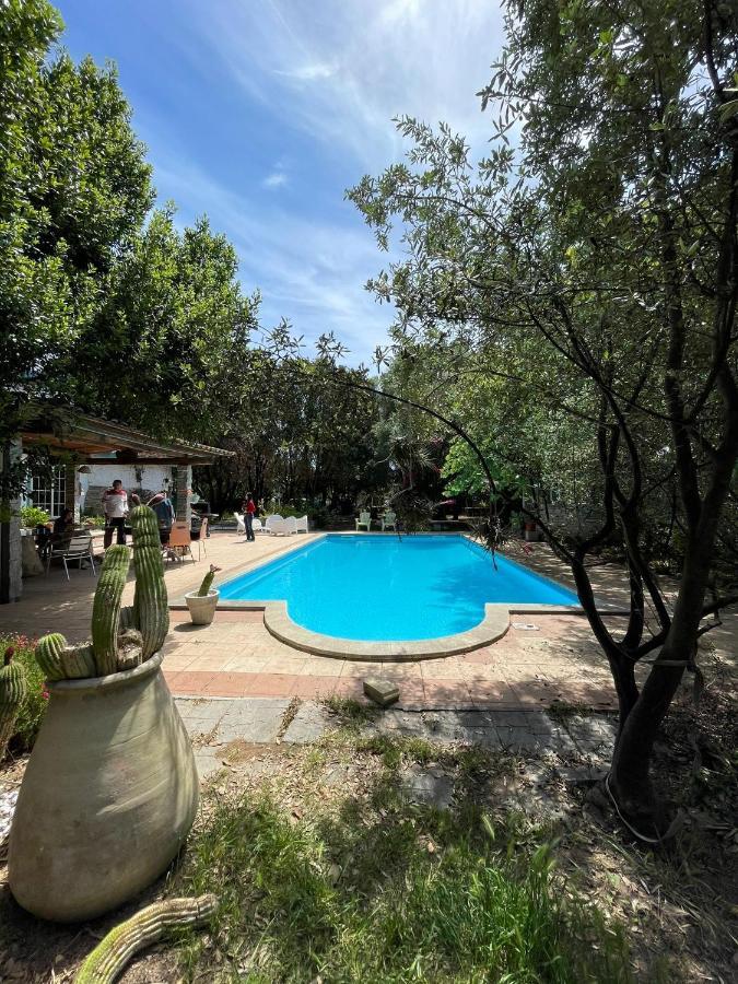 Loft Mansardato Con Giardino E Piscina In Villa Privata Loft With Garden And Swimming Pool In A Private Villa Sestu Kültér fotó